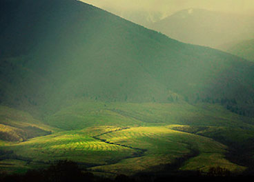 CC在线压力测试